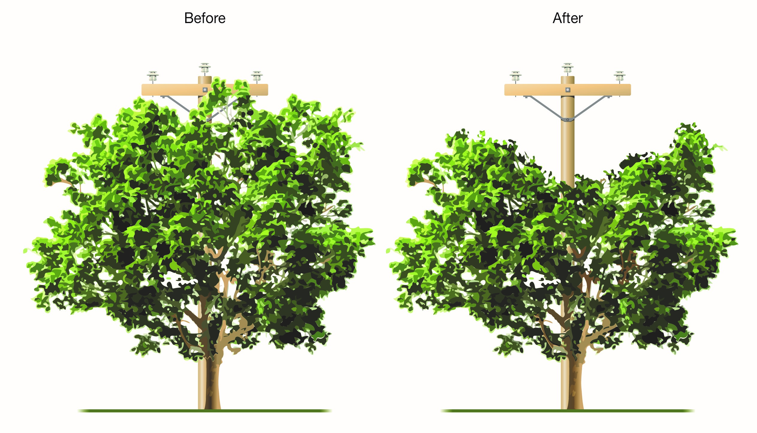 Tree trimming V cut