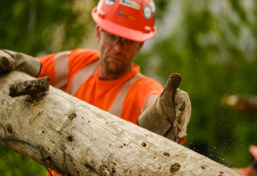 Close up of a Hydro Ottawa worker in gloves brushing sawdust off a hydro pole