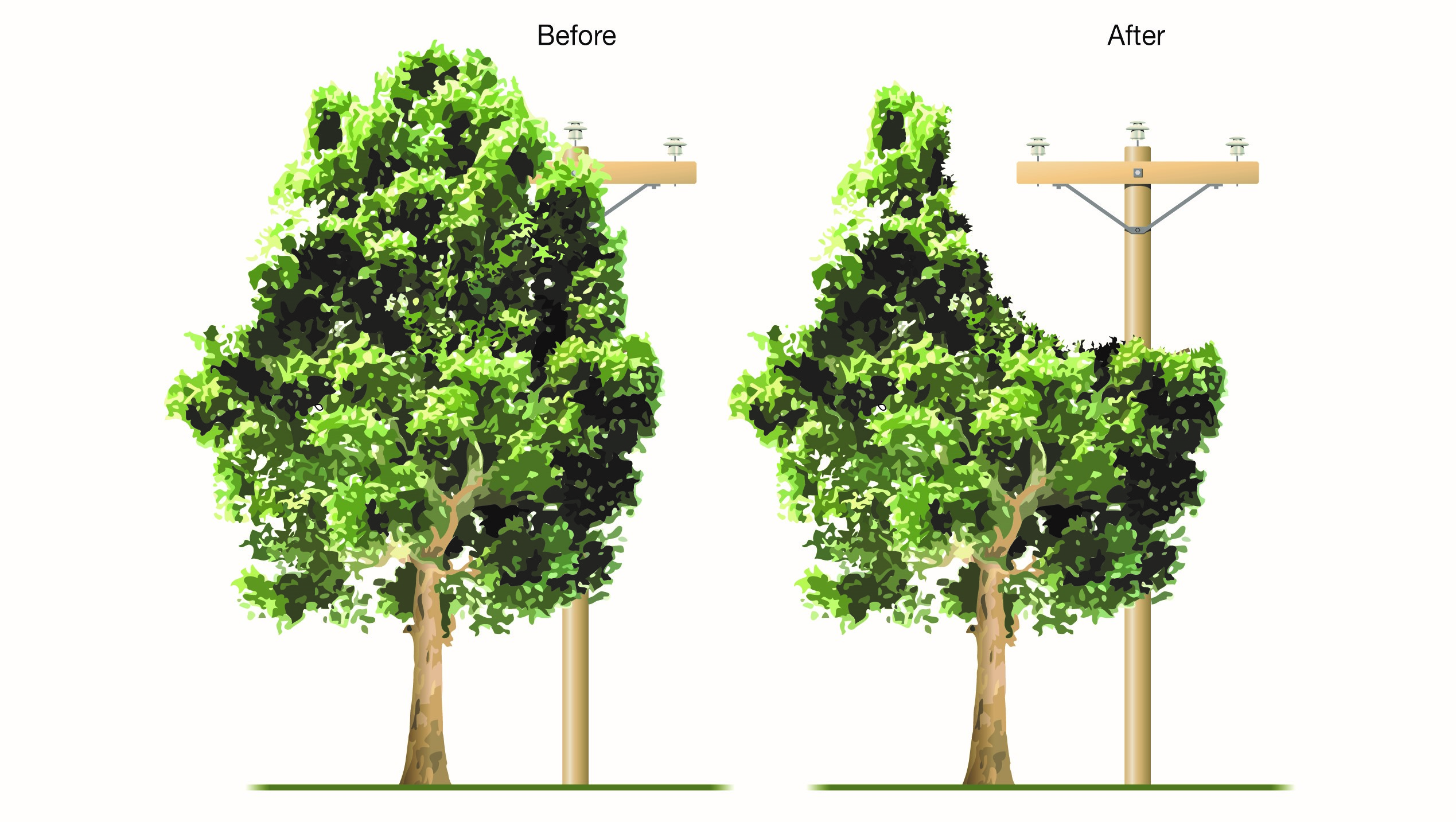 Tree trimming C cut