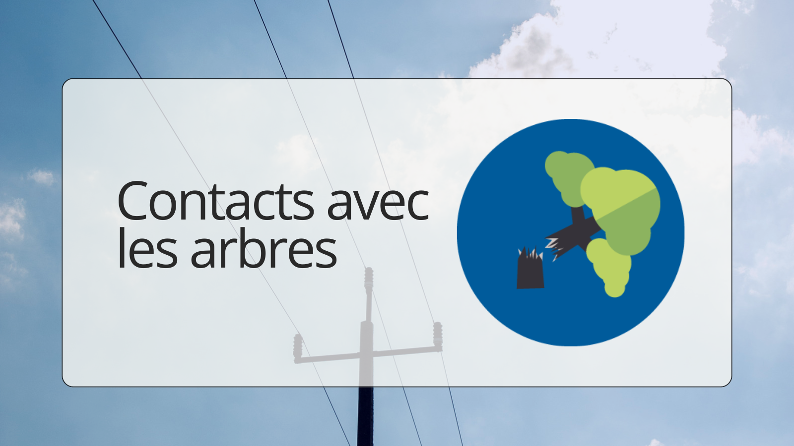 Contacts avec les arbres