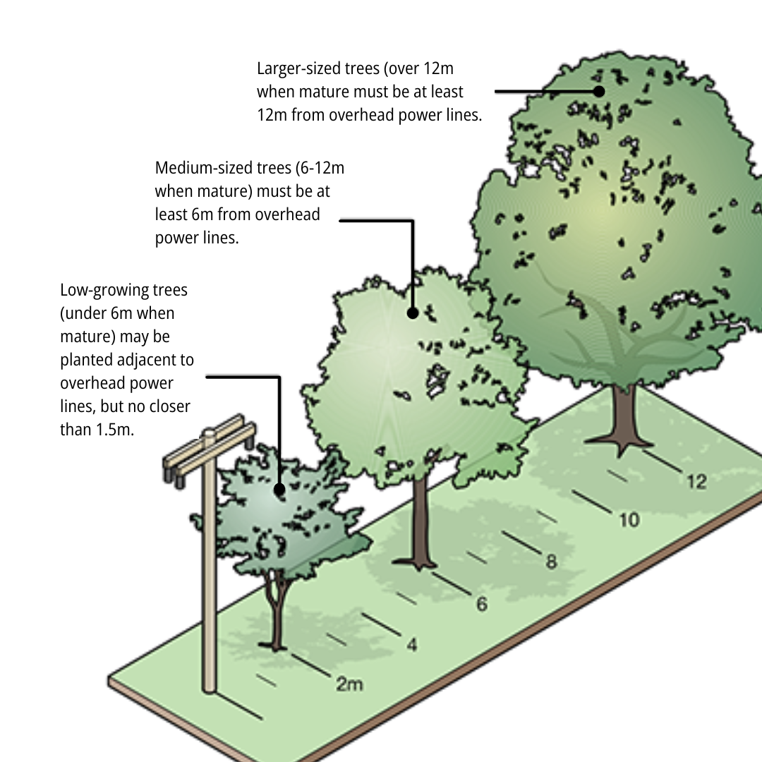 Clearance requirements from overhead power lines