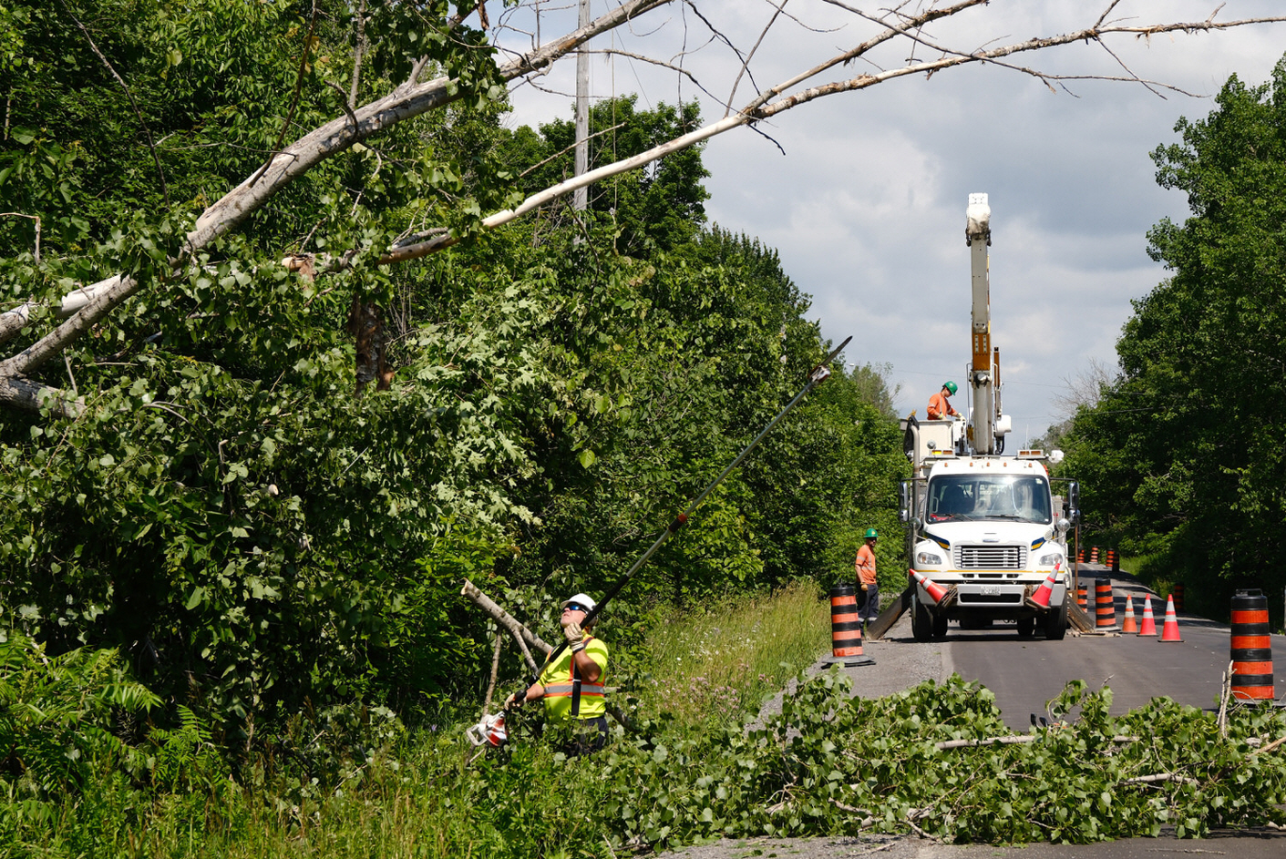 A hydro worker works in a ditch to clear debris from a tree on the road