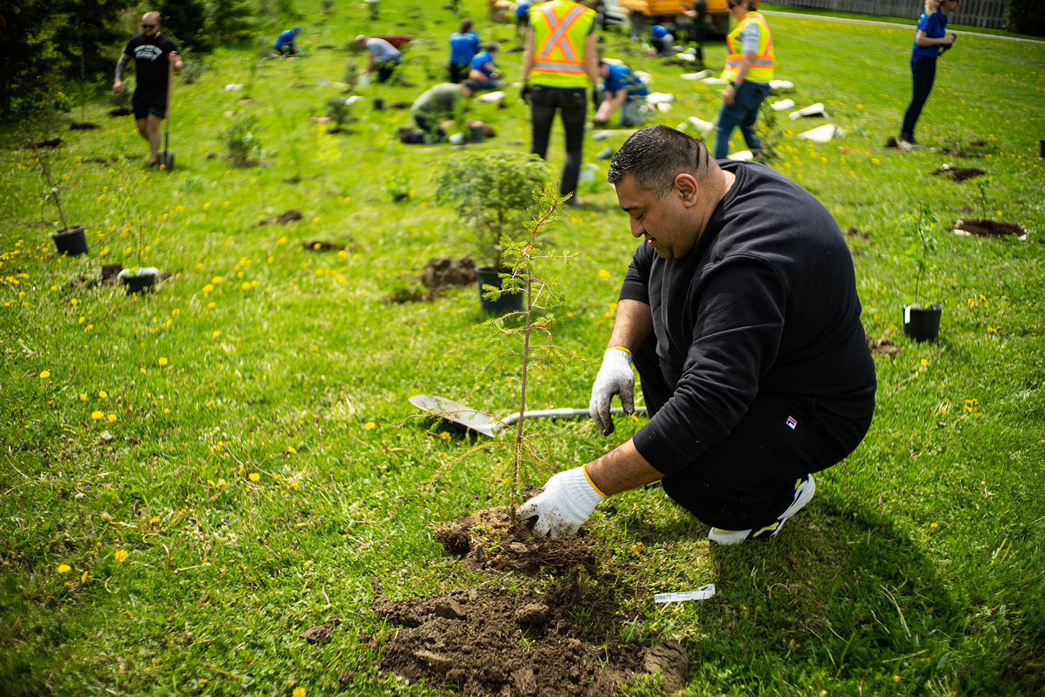 Environmental policy | Hydro Ottawa