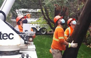 Hydro Ottawa crews, wearing masks, install a hydro pole