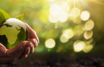 A pair of hands cradles a green planet