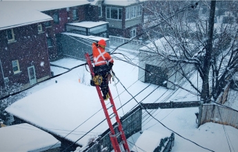 A hydro worker stands on a tall ladder in a backyard