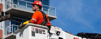 Hydro Ottawa tree trimmer in an aerial bucket with a large tree in the background