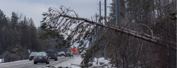 A tree covered in ice has fallen on a busy road with cars driving by