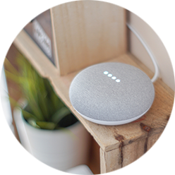 Smart Speaker - Homepage Icon